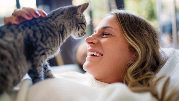 kedi beslemek vucutta bu etkileri yaratiyor aciklandi saglik haberleri