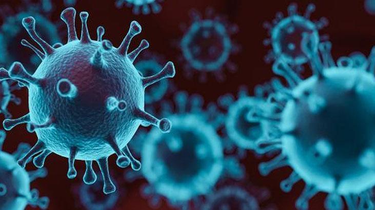 mutasyonlu virus hangi illerde var belirtileri neler e484k mutasyonlu koronavirus nedir iste son dakika gelismeleri guncel haberler milliyet