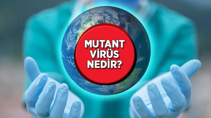 mutasyonlu virus nedir mutasyona ugramis virus mutant virus vakalari artti mi guncel haberler milliyet