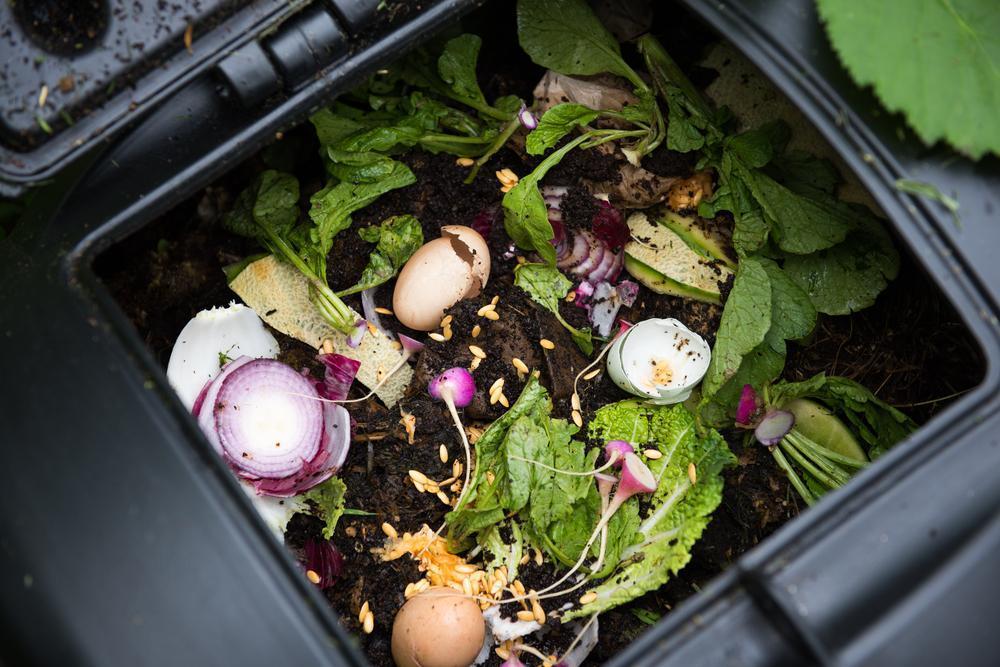 Kompost Nedir Ve Evde Kompost Nasıl Yapılır