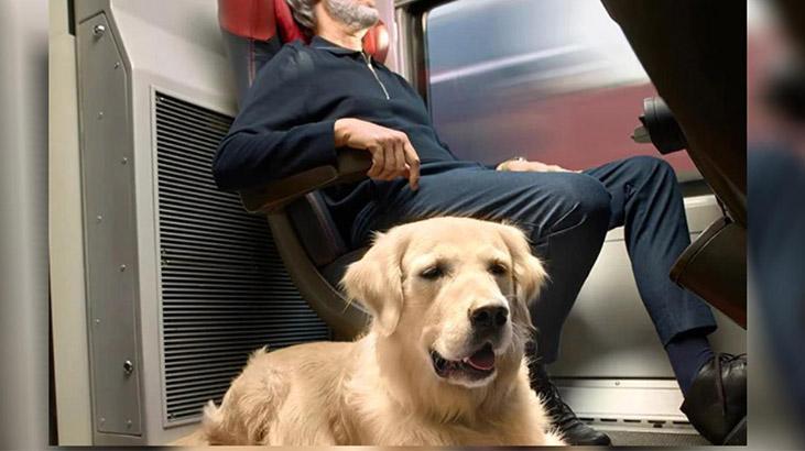 İtalya'da trenlerde köpeklere özel bilet uygulaması