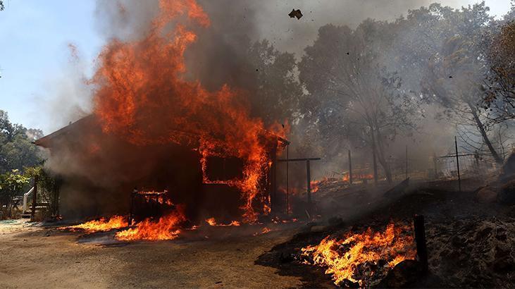 California'da orman yangınları OHAL ilan ettirdi