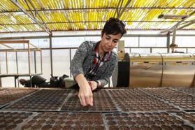 Yenimahalle'de organik gübre üretimi sürüyor