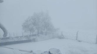 Turgutlu'da yüksek kesimlere yılın ilk karı düştü
