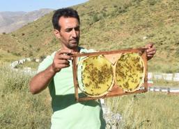 Bitlis'te arıcılar bu yıl bal rekoltesinin yüksek olmasını bekliyor
