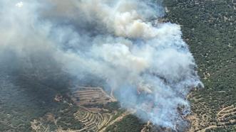 İzmir’de iki orman yangını! İkisi de kontrol altına alındı