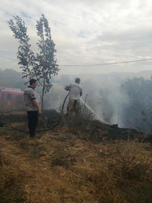 Kiraz'daki orman yangını büyümeden söndürüldü