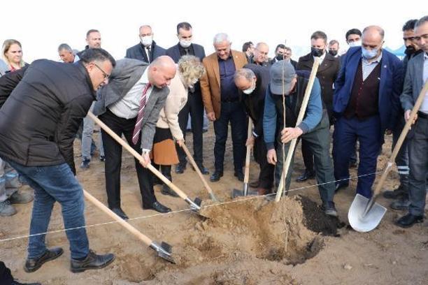Alaşehir'de 2 bin 500 cennet hurması toprakla buluştu