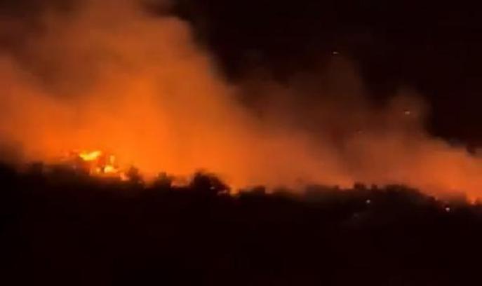 Gaziantep'te, meşelik yangını