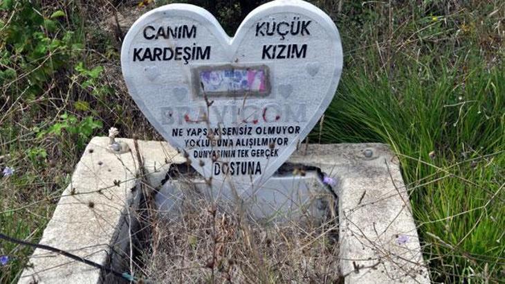 turkiye nin tek hayvan mezarligi son dakika haberleri milliyet