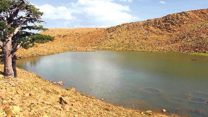 Defineciler umudu kesince göl kurtuldu - Son Dakika Milliyet