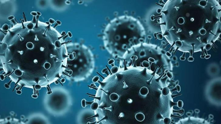 influenza virusu nedir influenza virusunun belirtileri nelerdir saglik haberleri