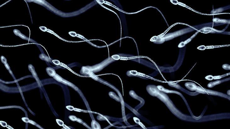Spermler de koku alır