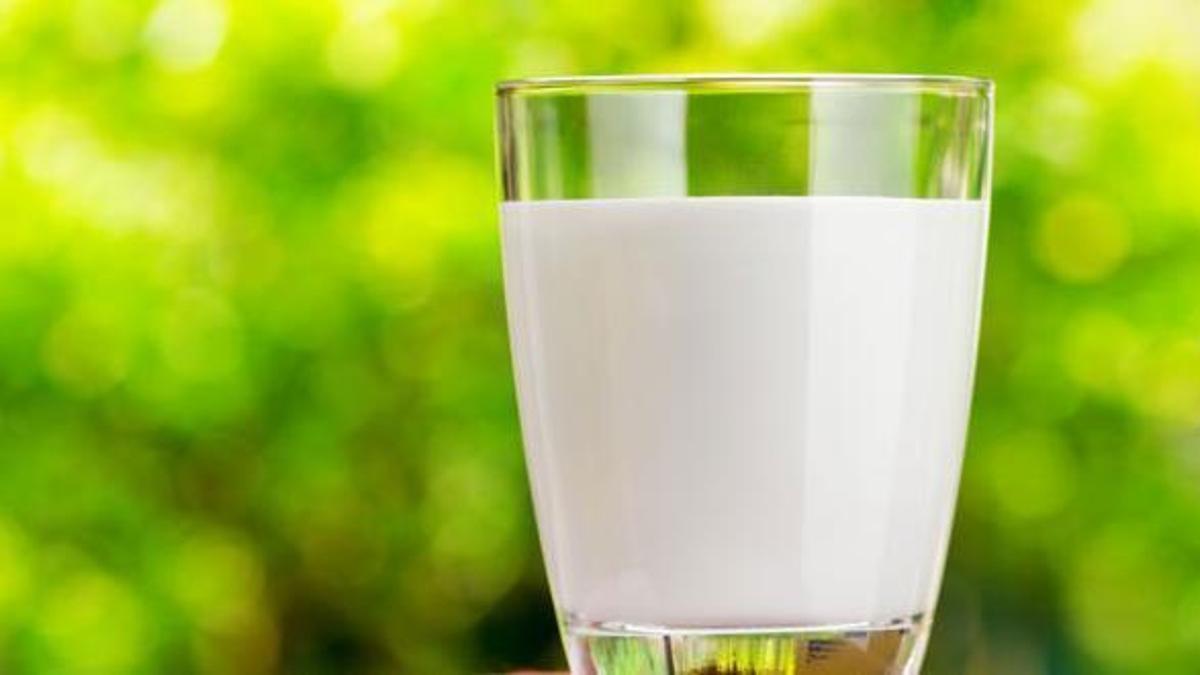 Uht ve günlük süt arasındaki farklar nelerdir? - Haberler