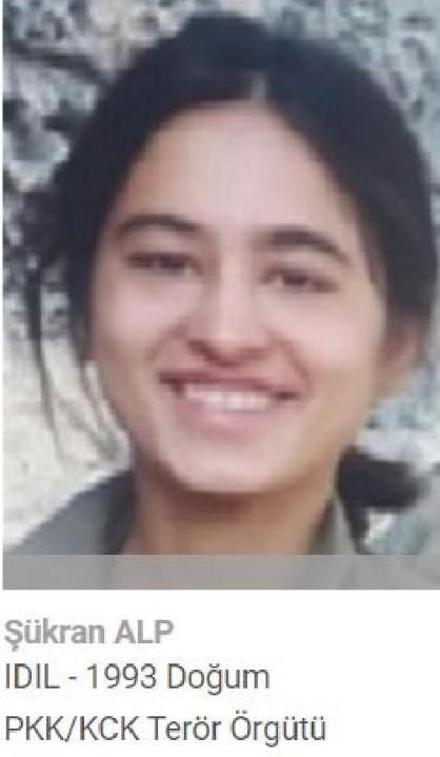 MİTten nokta operasyon PKKlı Delal Azizoğlu etkisiz hale getirildi