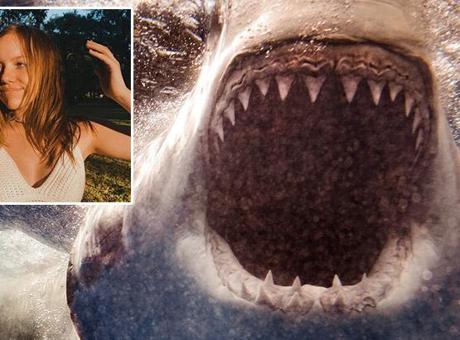 Bir buçuk metrelik suda 3 metrelik köpekbalığının saldırısına uğradı!