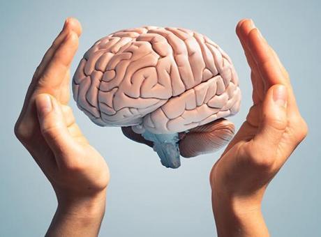 Dengeli ve sağlıklı beslenmek beyni nasıl etkiliyor?