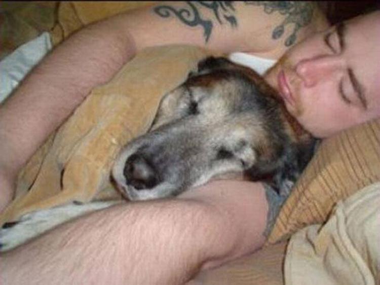Спавшие животные людей. Парень держит собаку.