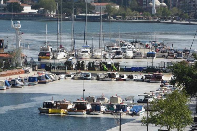 Son dakika... Marmara'daki büyük tehlike! Bu yaz denize girilebilecek mi?