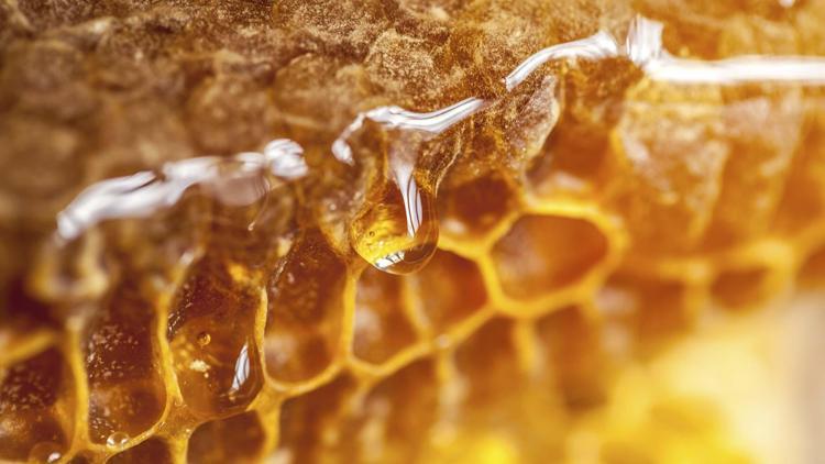 2. Apply pure (Manuka) honey