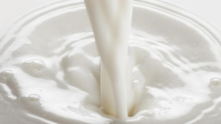 2-Milk is an extremely important source of protein.