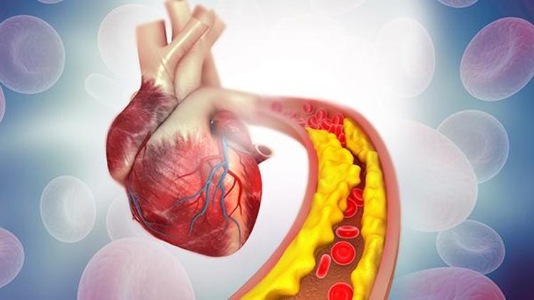 kardiyovasküler kalp sağlığı resimleri