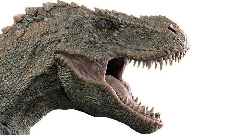 Dinozorların nesli neden ve nasıl tükendi Kısaca dinozorların yaşamı