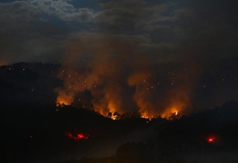 Ankarada orman yangını Bakan Pakdemirliden açıklama