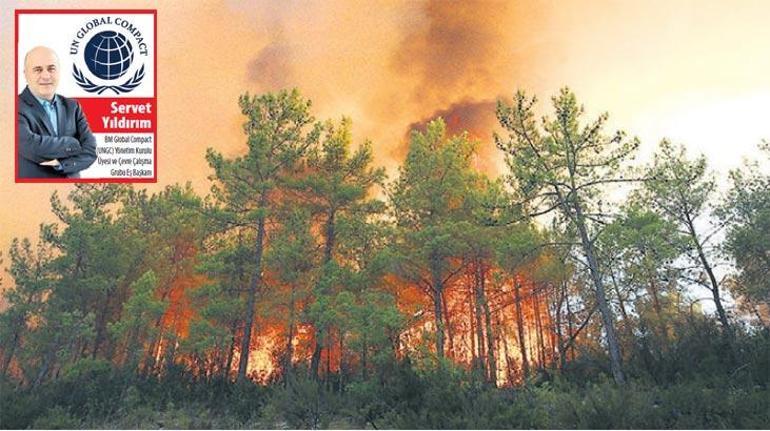 Küresel ısınma sürdükçe orman yangınları artacak