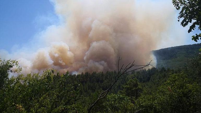 Burdurda orman yangını Dumanlar Antalyayı kapladı
