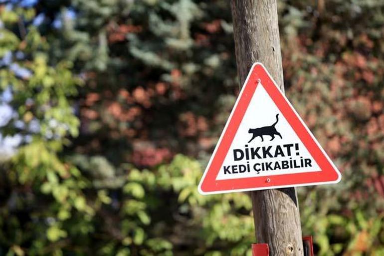 Kırklarelinde sürücüler kedi-köpek çıkabilir tabelalarıyla uyarılıyor
