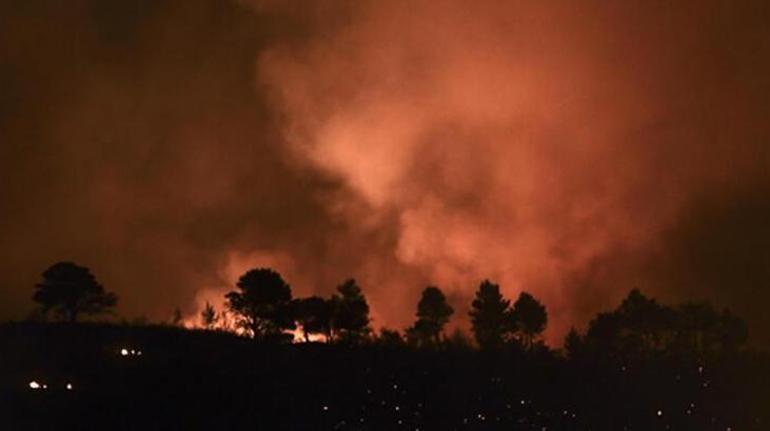 Orman yangınları için korkutan tahmin İşte Türkiyenin en riskli bölgeleri