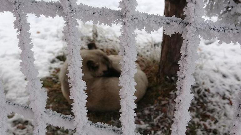 Kent buz tuttu Sibirya soğukları hayatı olumsuz etkiliyor