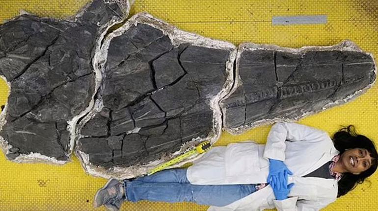 haberler 23 yıl sonra sırrı çözüldü 246 milyon yaşında, kafatası insan boyunda…