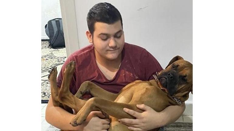 Üsküdar’da silahlı dehşet Pitbull zannettiği köpeğe kurşun yağdırdı