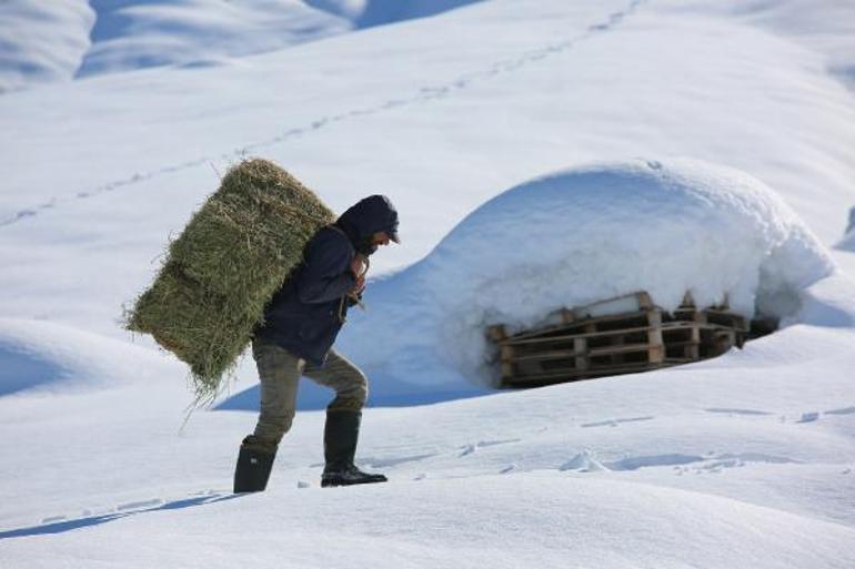 Munzur Dağı eteğinde karda zorlu yolculuk