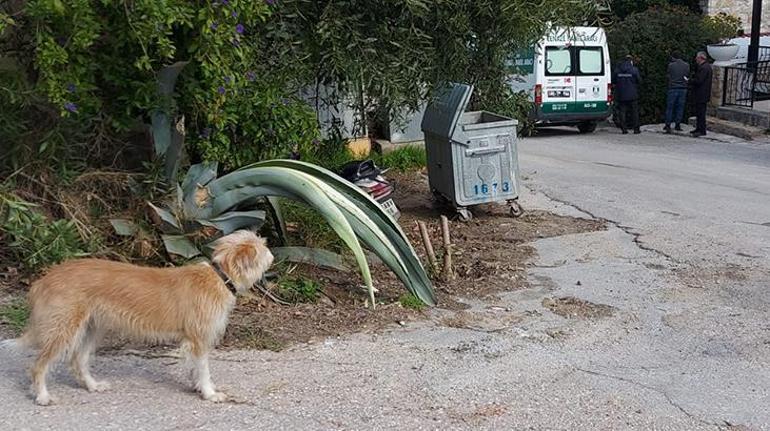 haberler Son dakika: Akrep Nalan hayatını kaybetti Köpeği arkasından bakakaldı