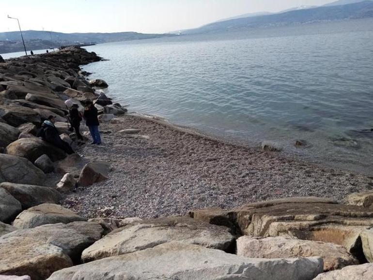haberler Marmara Denizindeki fırtınadan sonra oldu 2 aydır eski haline gelmedi