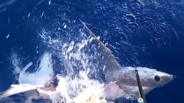 Balıkçıların ağına canavar takıldı Korkutan gerçeği 4,5 saat sonra fark ettiler