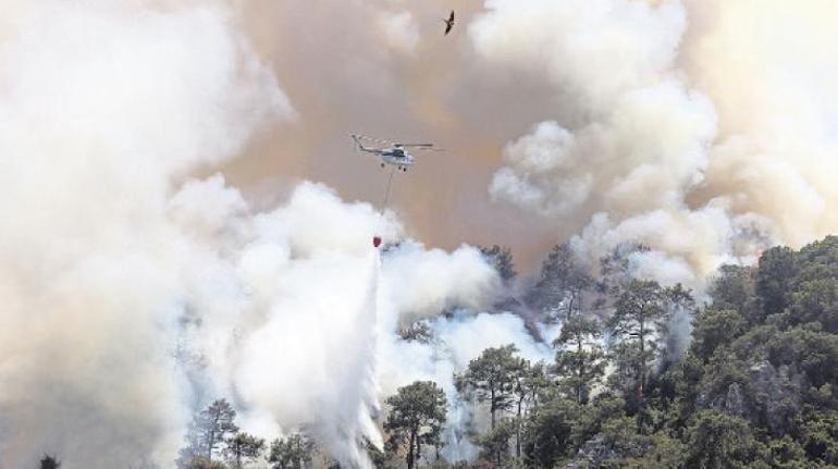Orman yangınlarına karşı 100 bin gönüllü
