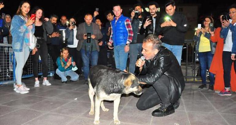 haberler Haluk Levent sokak köpeğiyle yere uzanarak şarkı söyledi