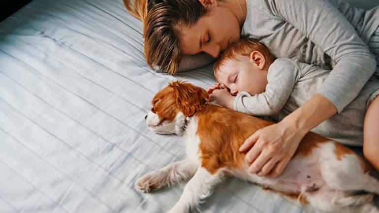 Evcil hayvanınızla uyumak güvenli ve sağlıklı mı