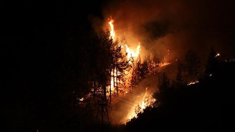 Alanya’da orman yangını 3 dekar alan zarar gördü