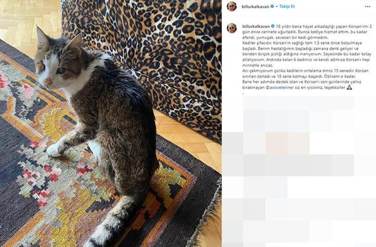 Billur Kalkavanın kedisi hayatını kaybetti: Hastalığımın başladığı zamana denk geliyor