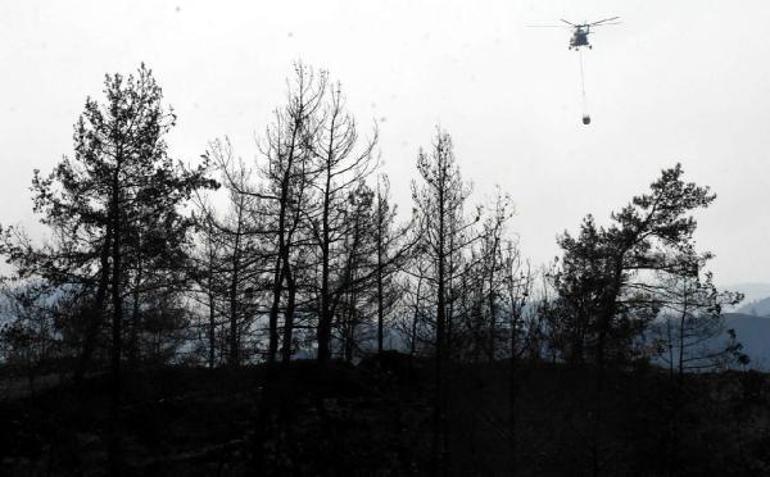 Marmaristeki yangında sabotaj şüphesi Bakan Soyludan flaş açıklama