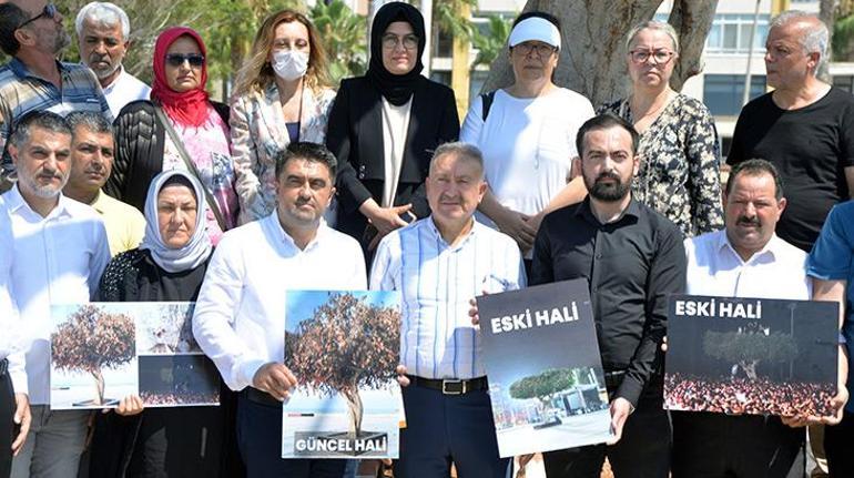 AK Partili Ercikten Mersin Büyükşehir Belediye yönetimine ağaç tepkisi