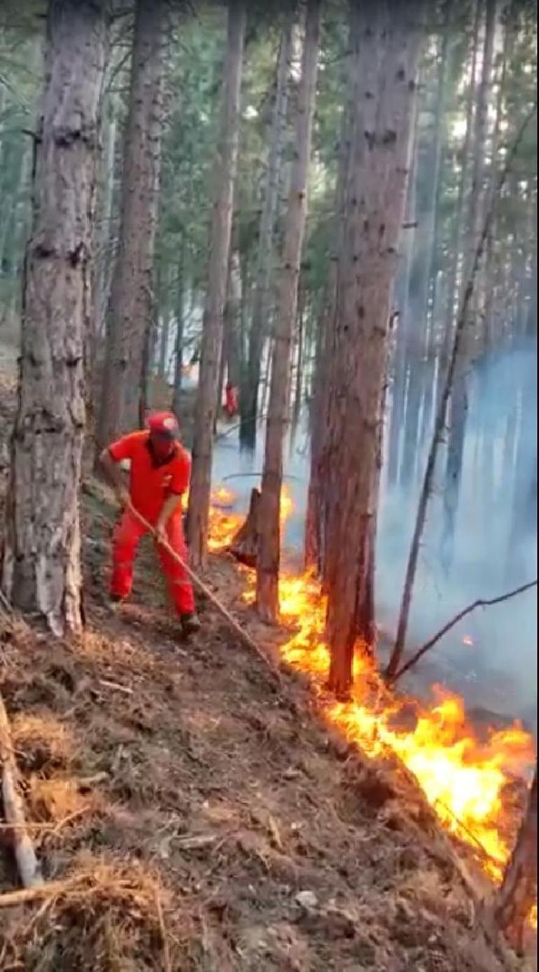 Mersindeki orman yangınında 15 hektar zarar gördü
