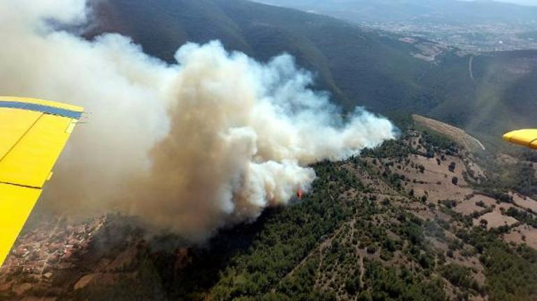 İki kentte orman yangını çıktı