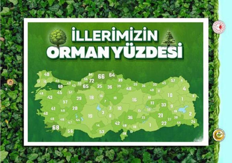 Harita ortaya çıktı Türkiyenin en yeşil kentleri